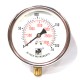 Pressure Gauge Bottom Connection 3/8 BSP (100MM / 4" Dial) SS Body Glycerin filled